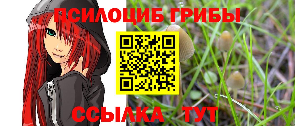 Галлюциногенные грибы GOLDEN TEACHER Зеленокумск